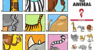 Unveil the Enduring Charm of Guess Who Animal Characters 21 Unveil the Enduring Charm of Guess Who Animal Characters th 30