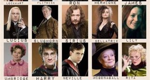 Unravel the Secrets of "Harry Potter Guess Who" Characters: A Journey of Discovery th 84