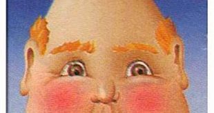 Unmasking "Guess Who Bill": Discoveries and Insights Unveiled th 29