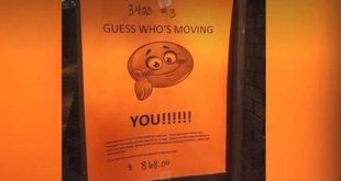 Unveiling the Secrets of "Guess Who's Moving You": A Journey of Discovery 25 Unveiling the Secrets of "Guess Who's Moving You": A Journey of Discovery th 58