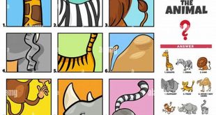Unveiling the Secrets of Guess Who Animal Game: A Journey of Discovery th 11