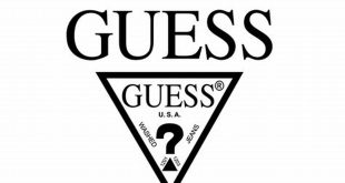 Unveiling the Enigmatic "Guess Who Black": Discoveries and Insights th 14